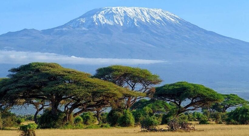 14 Days Kenya Safari Tour