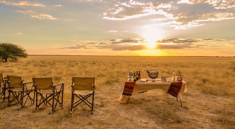 7 Days Maun To Maun Safari