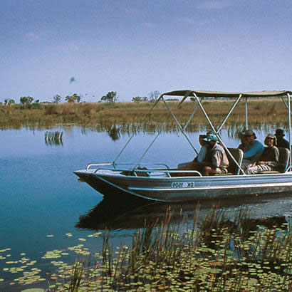 chobe day trip