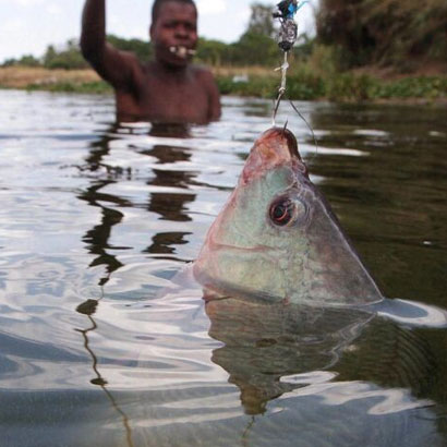 fishing on the zambezi river