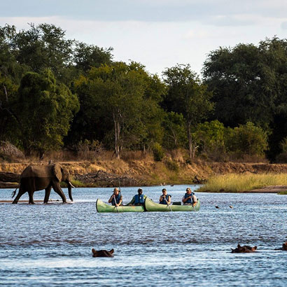 zambezi river canoeing