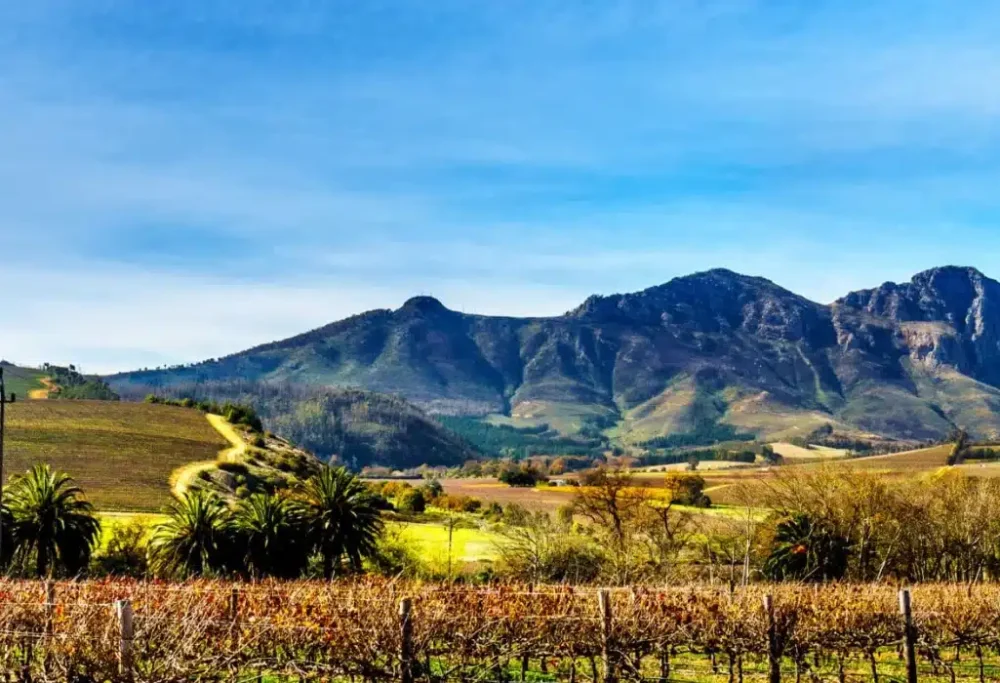 stellenbosch-western-cape-banner